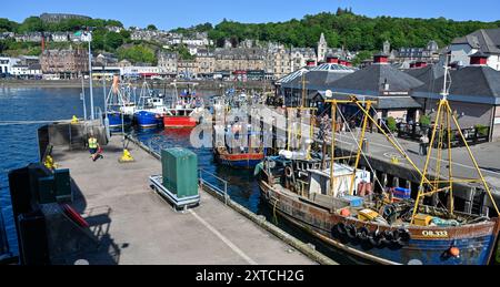 Fischerboote Oban Scotland Harbour Stockfoto