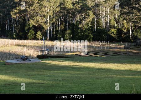 23. Juli 2024 - Bago Winery and Vineyards südlich von Port Macquarie, NSW, Australien. Bargo Maze auf der rechten Seite. Stockfoto