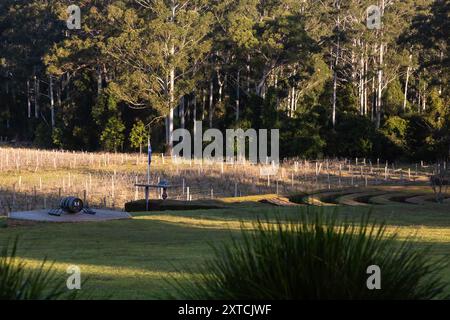 23. Juli 2024 - Bago Winery and Vineyards südlich von Port Macquarie, NSW, Australien. Bargo Maze auf der rechten Seite. Stockfoto