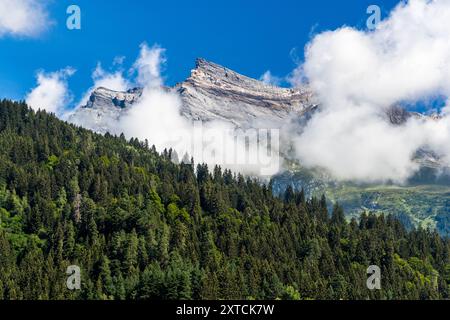 Landschaft mit Wald und Bergen im Kanton Graubünden auf der nostalgischen Zugfahrt von Davos nach Andermatt mit dem Glacier Pullman Express. Via Principala, Trun, Graubünden, Schweiz Stockfoto