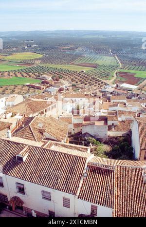 Dorf und Olivenhaine, Blick von oben. Baños de la Encina, Provinz Jaen, Andalusien, Spanien. Stockfoto