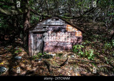 Alte Hirtenhütte, die heute in den Voralpen von Vicenza zwischen den herbstlichen Wäldern von Arsiero Vicenza Italien verlassen wurde Stockfoto