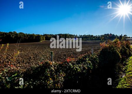 Gepflügte Felder im Herbst mit dunkler Erde und noch grünen Bäumen in Lazise Verona Italien Stockfoto