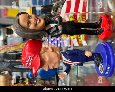 MERCHANDISING DER AMERIKANISCHEN PRÄSIDENTSCHAFTSKAMPAGNE IN NEW YORKER GESCHÄFTEN Stockfoto