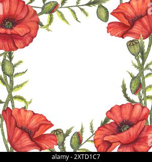 Roter Mohnblumenrahmen. Memorial Day, Anzac in Australien. Wiese Wildblüte, Feld blüht. Handgezeichnete Aquarellillustration isolierter Hintergrund Stockfoto