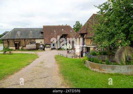 Manoir de Grandouet ein französischer Apfelwein- und Calvados-Bauernhof in der Nähe von Cambremer, Pays d’Auge, Normandie, Frankreich Stockfoto