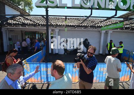 London, Großbritannien. August 2024. Banksy enthüllt am 13. August 2024 im Londoner Zoo das neunte Tierwerk. Das Graffiti an den Fensterläden im Londoner Zoo ist das neunte Werk des Künstlers in neun Tagen. (Foto: Laura Chiesa/Pacific Press/SIPA USA) Credit: SIPA USA/Alamy Live News Stockfoto