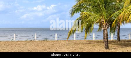 Tropische Landschaft mit Palmen und Meer auf der Insel Ometepe im Lake Cocibolca im Südwesten Nicaraguas Mittelamerika Stockfoto