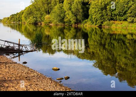 Grüne Waldspiegelungen im Fluss Trent, Gunthorpe, Nottinghamshire, England Stockfoto