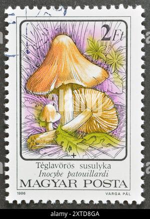 Von Ungarn gedruckte gestempelte Briefmarke, die Rotfärbung Inocybe (Inocybe patouillardi) um 1986 zeigt. Stockfoto