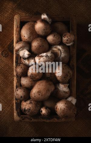 Baby-Bella-Pilze in einer Holzkiste auf Sackleinen-Stillleben Stockfoto