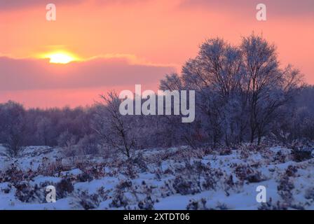 Sonnenuntergang über den Brimham Rocks in Yorkshire mit Nebel und Schnee für eine stimmungsvolle Winterszene Stockfoto