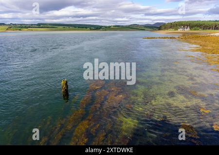 Loch Fleet zeigt klares Wasser und farbenfrohe Algen unter einem bewölkten Himmel, was die natürliche Schönheit dieser schottischen Landschaft unterstreicht. Stockfoto