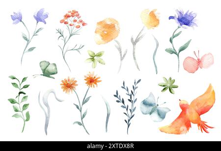 Aquarellset von Blumen, Zweigen und Blättern orange, blaue Farben isolierte Illustration. Abstrakte Wiesenpflanzen und Schmetterlinge handgezeichnet. Orangener Vogel Stockfoto