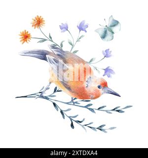 Vogelorange und grau-blaue Federn auf Zweig handgezeichnet Aquarell isoliert. Vogelschmetterling und Blumenarrangements in botanischer Skizze. Garten Sommer il Stockfoto