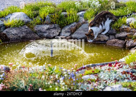 Das ehemalige Sanatorium Schatzalp ist heute ein Hotel. Thomas-Mann-Weg, Davos, Graubünden, Schweiz Stockfoto