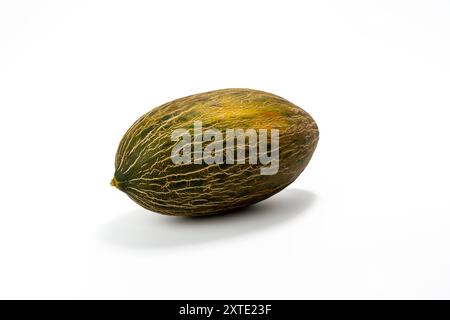 Grün-gelbe Melonenfrucht mit grünem Stiel auf weißem Hintergrund. Melonenfrucht hat eine raue Textur. Stockfoto