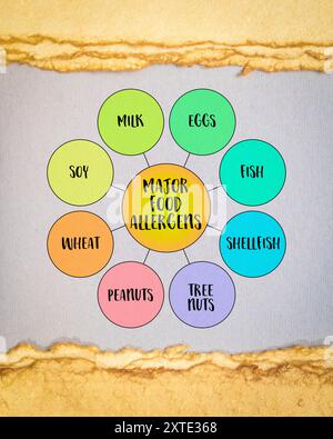 Big Acht Lebensmittelallergene verantwortlich für die Mehrheit der Nahrungsmittelallergiereaktion, Gesundheit und Diät Konzept, Diagramm Infografiken Stockfoto
