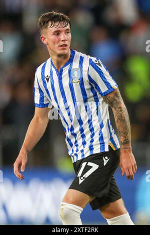 Charlie McNeill (17) beim Spiel Hull City FC gegen Sheffield Wednesday FC Carabao Cup Runde 1 im MKM Stadium, Hull, England, Großbritannien am 14. August 2024 Credit: Every Second Media/Alamy Live News Stockfoto