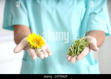 Wissenschaftlerin mit Sonnenblume und Sprossen im Labor, Nahaufnahme Stockfoto