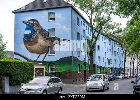 Wohnhäuser an der Feldsieper Straße in Bochum, nach einer energetischen Sanierung, mit Fassadendämmung, hat die Bochumer Wohnstätten Wohnungsgenossenschaft, die Gebäude mit einem großen Wandbild bemalen lassen, vom Dortmunder Graffiti Künstler Denis Klatt, es zeigt auf der gesamten Fassade ein Blaukehlchen und eine Landschaft mit Bäumen, Leben unter der Erde und viel Himmel, Bochum-Hamme, NRW, Deutschland, Wandbild *** Wohnhäuser an der Feldsieper Straße in Bochum, nach einer energetischen Sanierung, mit Fassadendämmung, hat die Bochumer Wohnstätten Wohnungsgenossenschaft den Bau veranlasst Stockfoto