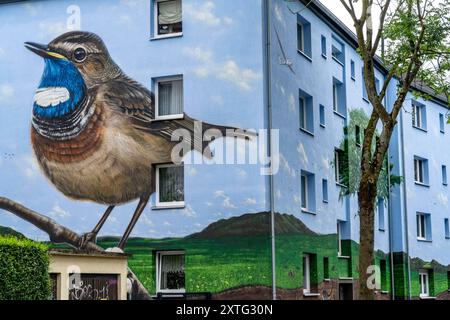 Wohnhäuser an der Feldsieper Straße in Bochum, nach einer energetischen Sanierung, mit Fassadendämmung, hat die Bochumer Wohnstätten Wohnungsgenossenschaft, die Gebäude mit einem großen Wandbild bemalen lassen, vom Dortmunder Graffiti Künstler Denis Klatt, es zeigt auf der gesamten Fassade ein Blaukehlchen und eine Landschaft mit Bäumen, Leben unter der Erde und viel Himmel, Bochum-Hamme, NRW, Deutschland, Wandbild *** Wohnhäuser an der Feldsieper Straße in Bochum, nach einer energetischen Sanierung, mit Fassadendämmung, hat die Bochumer Wohnstätten Wohnungsgenossenschaft den Bau veranlasst Stockfoto