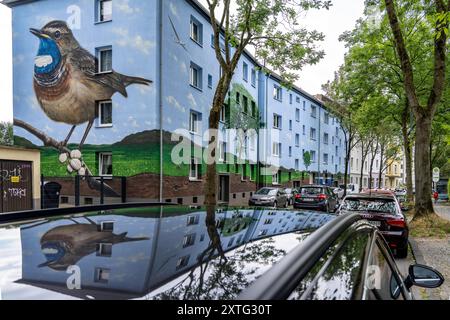 Wohnhäuser an der Feldsieper Straße in Bochum, nach einer energetischen Sanierung, mit Fassadendämmung, hat die Bochumer Wohnstätten Wohnungsgenossenschaft, die Gebäude mit einem großen Wandbild bemalen lassen, vom Dortmunder Graffiti Künstler Denis Klatt, es zeigt auf der gesamten Fassade ein Blaukehlchen und eine Landschaft mit Bäumen, Leben unter der Erde und viel Himmel, Bochum-Hamme, NRW, Deutschland, Wandbild *** Wohnhäuser an der Feldsieper Straße in Bochum, nach einer energetischen Sanierung, mit Fassadendämmung, hat die Bochumer Wohnstätten Wohnungsgenossenschaft den Bau veranlasst Stockfoto