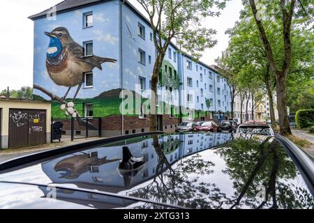 Wohnhäuser an der Feldsieper Straße in Bochum, nach einer energetischen Sanierung, mit Fassadendämmung, hat die Bochumer Wohnstätten Wohnungsgenossenschaft, die Gebäude mit einem großen Wandbild bemalen lassen, vom Dortmunder Graffiti Künstler Denis Klatt, es zeigt auf der gesamten Fassade ein Blaukehlchen und eine Landschaft mit Bäumen, Leben unter der Erde und viel Himmel, Bochum-Hamme, NRW, Deutschland, Wandbild *** Wohnhäuser an der Feldsieper Straße in Bochum, nach einer energetischen Sanierung, mit Fassadendämmung, hat die Bochumer Wohnstätten Wohnungsgenossenschaft den Bau veranlasst Stockfoto