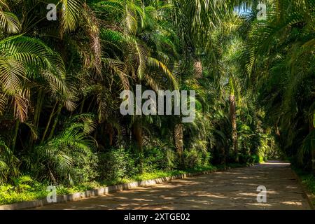 Brumadinho, Brasilien - 6. März 2015: Der Eingang zum Inhotim Park, Freilichtmuseum Stockfoto