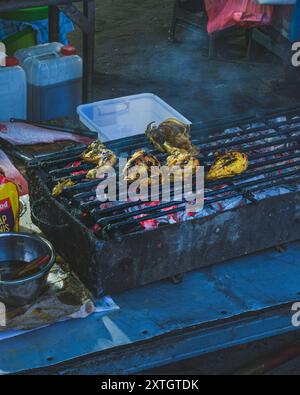 Nahaufnahme von saftigen Hühnchenstücken, die auf einem Grill grillen, mit Flammen, die an den Seiten lecken und die Haut verkohlen, für eine köstliche Mahlzeit. Stockfoto