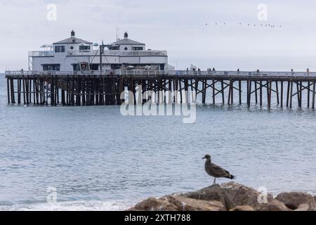 Malibu, Kalifornien, USA - 9. September 2023: Am Nachmittag scheint Sonnenlicht auf den historischen Malibu Pier, als Wellen auf einem von Vögeln umrahmten Carbon Beach krachen. Stockfoto