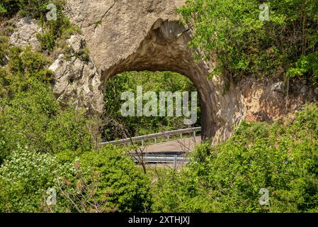 Tunnel auf der Straße zwischen Gombrèn und Castellar de n'Hug im Montgrony-Gebirge (Ripollès, Gerona, Katalonien, Spanien, Pyrenäen) Stockfoto