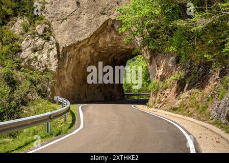 Tunnel auf der Straße zwischen Gombrèn und Castellar de n'Hug im Montgrony-Gebirge (Ripollès, Gerona, Katalonien, Spanien, Pyrenäen) Stockfoto