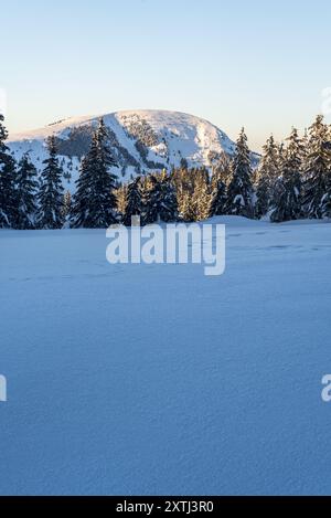 Der Borisov-Hügel im Velka-Fatra-Gebirge in der Slowakei während des Winterabends mit klarem Himmel Stockfoto