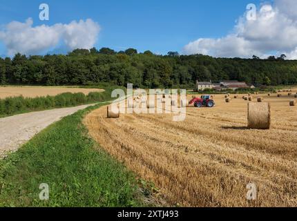 Landschaft von Yorkshire zur Erntezeit. Acker Ackerland in der Nähe von Hovingham in North Yorkshire im Norden Englands. Stockfoto
