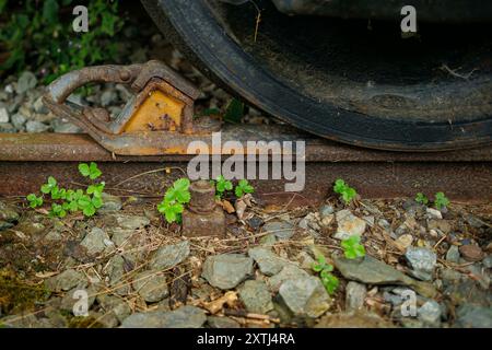 Lichtenberg, Deutschland. Juli 2024. Symbolfoto zum Thema Stillstand im Schienenverkehr. Eine Bremsbacke steht vor dem Rad eines Wagens auf einer rostigen und bewachsenen Spur. Lichtenberg, 21. Juli 2024. Quelle: dpa/Alamy Live News Stockfoto