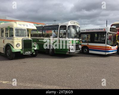 Klassische Eindeckerbusse in Exeter, Devon, England Stockfoto