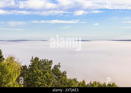 Morgen Nebel im Tal Stockfoto