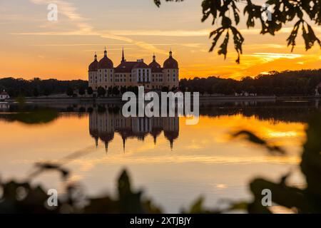 Barockschloss Moritzburg das auch als Filmkulisse bekannte Wasserschloss, liegt mitten in einem See und ist ein beliebtes Ausflugsziel. Ein Schwanenpaar hat am Seeufer sein Nest errichtet. Moritzburg Sachsen Deutschland *** Barockschloss Moritzburg das Wasserschloss, auch Filmset genannt, liegt mitten in einem See und ist ein beliebtes Ausflugsziel Ein Schwänenpaar haben ihr Nest am Seeufer Moritzburg Sachsen Deutschland gebaut Stockfoto