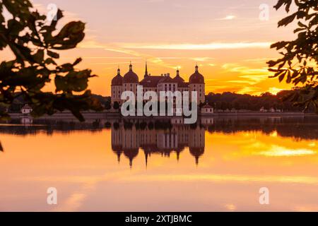 Barockschloss Moritzburg das auch als Filmkulisse bekannte Wasserschloss, liegt mitten in einem See und ist ein beliebtes Ausflugsziel. Ein Schwanenpaar hat am Seeufer sein Nest errichtet. Moritzburg Sachsen Deutschland *** Barockschloss Moritzburg das Wasserschloss, auch Filmset genannt, liegt mitten in einem See und ist ein beliebtes Ausflugsziel Ein Schwänenpaar haben ihr Nest am Seeufer Moritzburg Sachsen Deutschland gebaut Stockfoto