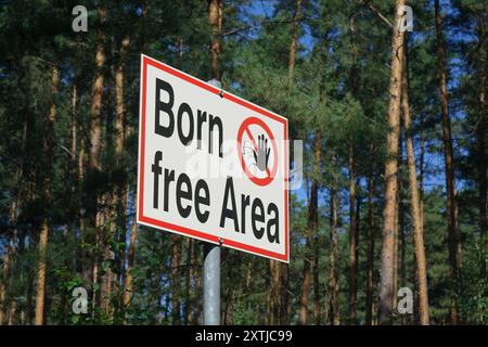 Schild mit Schriftzug Born Freifläche Schild mit Schriftzug Born Freifläche, 12.08.2024, Borkwalde, Brandenburg, auf einem Grundstück befindet sich ein Schild mit dem Schriftzug Born Freifläche. *** Schild mit Schriftzug Born Free Area Schild mit Schriftzug Born Free Area, 12 08 2024, Borkwalde, Brandenburg, auf einem Grundstück befindet sich ein Schild mit der Schriftart Born Free Area Stockfoto