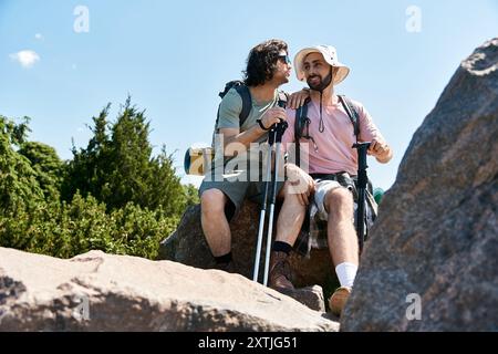 Zwei junge Männer, ein schwules Paar, wandern gemeinsam in der Sommerwildnis und genießen die frische Luft und die malerische Aussicht. Stockfoto