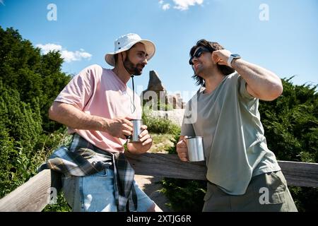 Ein junges schwules Paar genießt einen sonnigen Sommertag beim Wandern in der Wildnis. Stockfoto