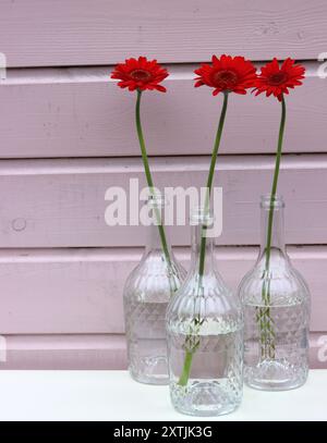 Einfaches Stillleben mit roten Blumen. Drei rote Gerbera-Blüten in einer Glasflasche vor rosa hölzernem Hintergrund mit Kopierraum. Stockfoto