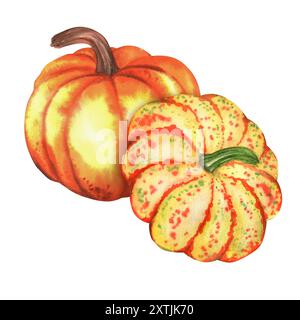 Zwei große Herbstkürbisse orange und gelb. Herbstfest der Gemüseernte. Thanksgiving-Kürbisse. Handgezeichnete Aquarellillustration. Stockfoto