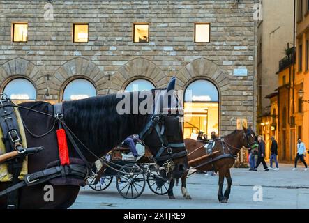 Pferdekutschen vor dem Palazzo delle Assicurazioni Generali (19. Jh.), auf der zentralen Piazza della Signoria, Florenz, Italien Stockfoto