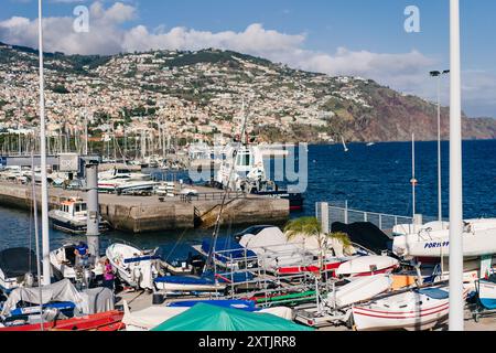 Funchal, Portugal - 10. Dezember 2016: Blick von der Promenade auf die Yachten und das Kreuzfahrtschiff. Hochwertige Fotos Stockfoto