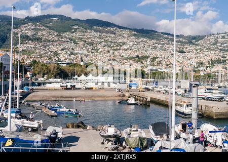 Funchal, Portugal - 10. Dezember 2016: Blick von der Promenade auf die Yachten und das Kreuzfahrtschiff. Hochwertige Fotos Stockfoto