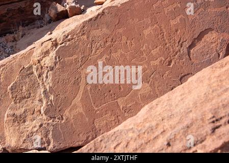 Antike Felsgravuren in Twyfelfontein, Damaraland, Namibia. Stockfoto