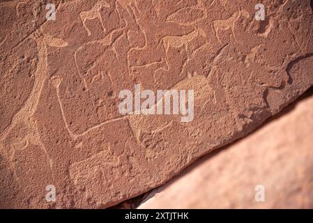 Antike Felsgravuren in Twyfelfontein, Damaraland, Namibia. Stockfoto